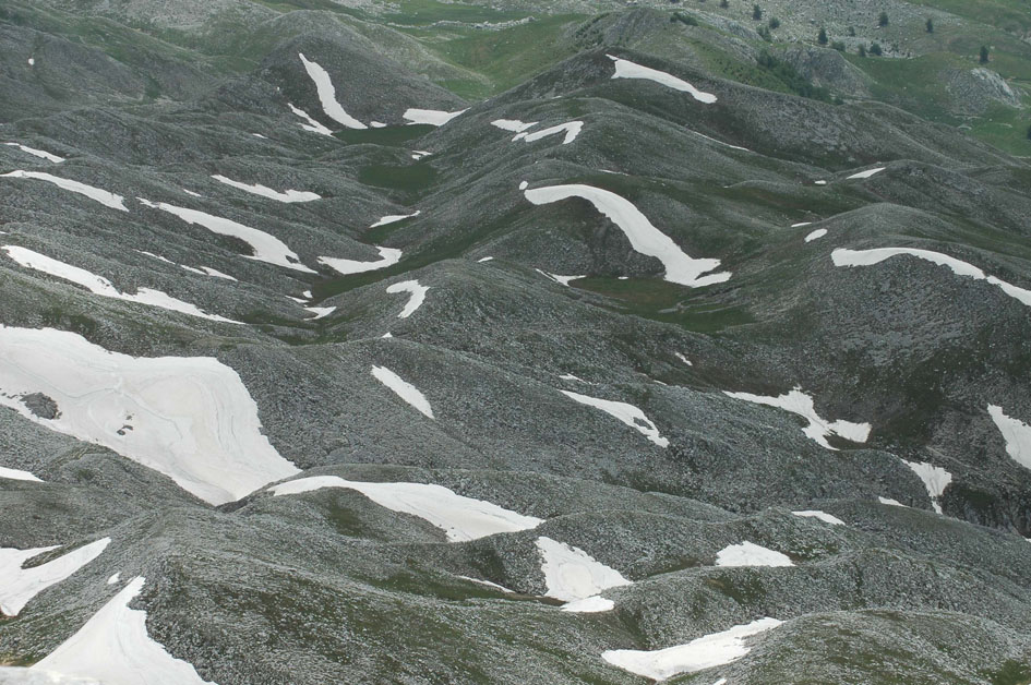 parco nazionale d'abruzzo