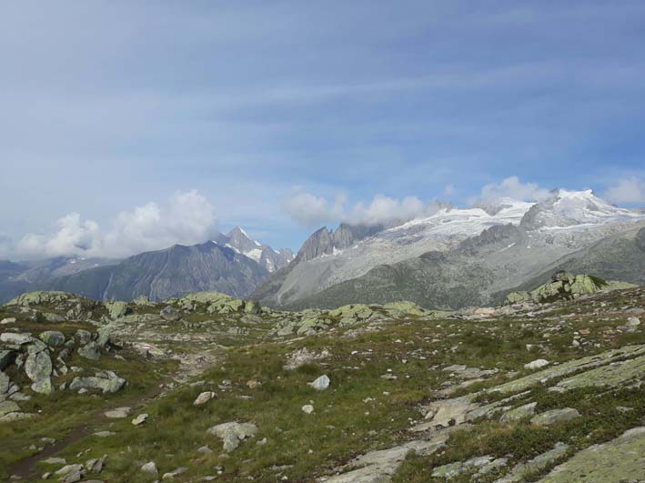 Aletschhorn