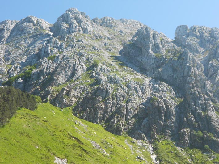 grondilice da foce rasori