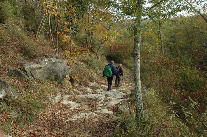 via francigena