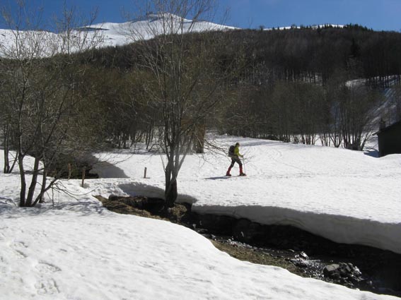 rio cella